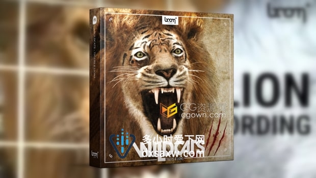 Wildcats Tigers & Lions音效狮子老虎咆哮声嗅探声动画音效928种