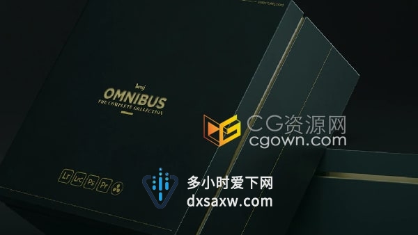 Omnibus包括100个Lightroom预设照片调色+17个视频LUTS预设