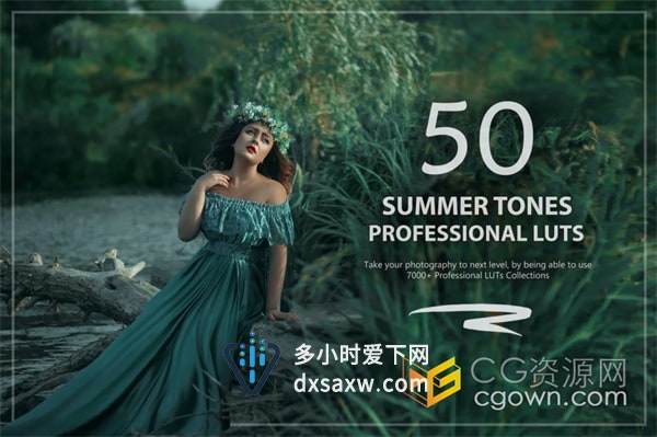 50个清新夏季风格Summer Tones LUT和预设包