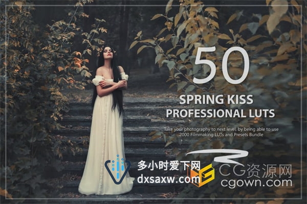 50个温馨偏灰暗色调Spring Kiss LUT 和预设包