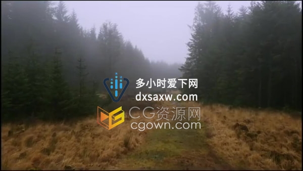 实拍穿越荒地松林地石头小路的航拍画面视频素材4K