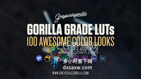 100种LUTs专业电影调色预设文件 GSG Grade LUTs 带使用视频