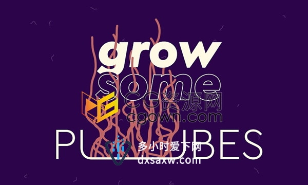 Pubes v1.0 AE脚本下载快速生成多边形线条生长动画工具