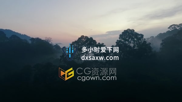 航拍黎明时分云雾缭绕神秘的热带雨林景观视频素材下载