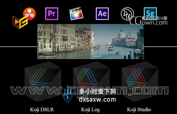 三套专业电影胶片LUT调色预设 支持Premiere, FCPX, After Effects and Resolve (Win/Mac)
