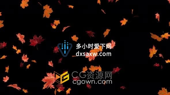 4K视频素材-秋天枫叶子掉落动画效果带Alpha透明通道
