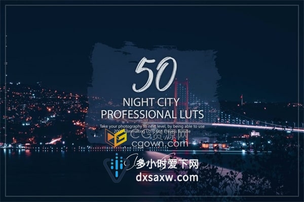 50个Night City夜间城市LUT和预设包