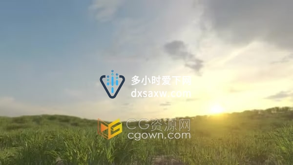 种植小麦生长延时麦田风景视频素材4K分辨率