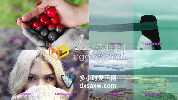 CUBE/3DL/CSP/ICC四种格式LUTs调色预设105种效果软件AE/PR/PS/FCPX/达芬奇中使用