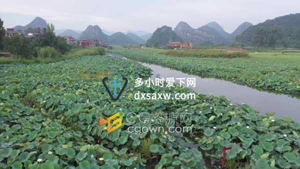 航拍云南普者黑自然景区江河湖面茂盛的荷叶睡莲视频素材