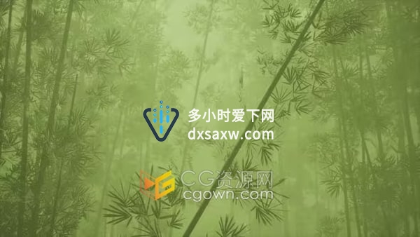 晨雾亚洲竹林阴霾竹子场景风景视频素材