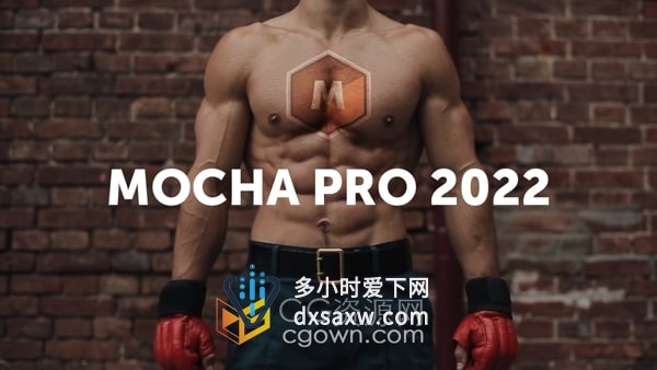Mocha Pro 2022.5 v9.5.2跟踪软件与Adobe/OFX插件版本