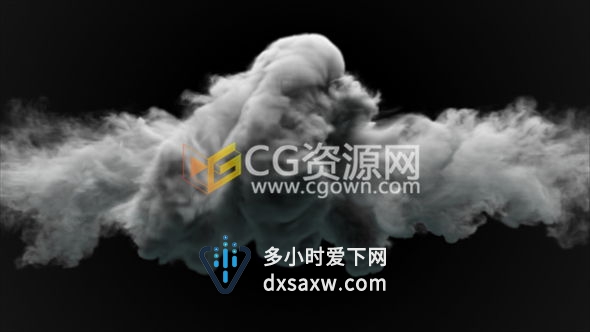 两条烟雾流体碰撞动画含Alpha透明通道 合成视频素材