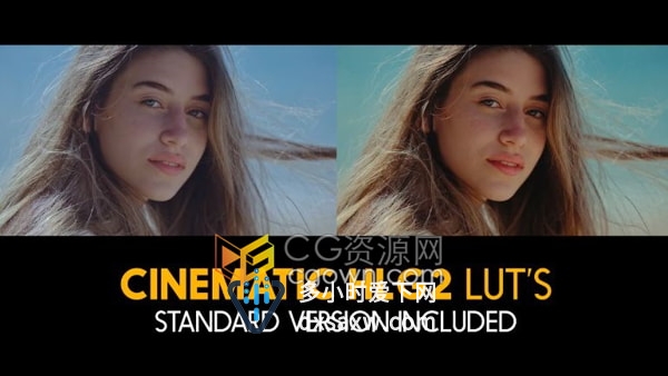 21个现代时尚电影大片级Cinematic HLG2和专业调色预设Standard Luts