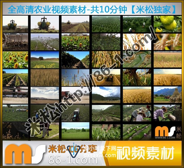 全高清农业视频素材-水稻 小麦 茶叶 向日葵 丰收