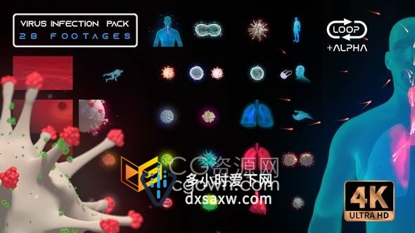 新型冠状病毒感染3D医疗HUD界面人体肺部疾病4K带Alpha通道视频动画元素包下载