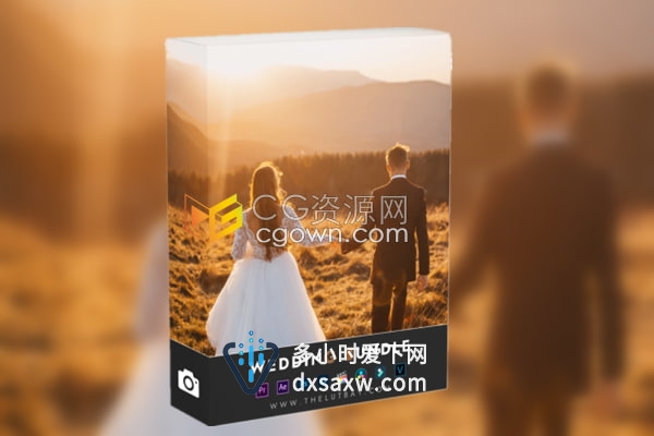 非常实用的婚礼主题Lr预设婚纱照婚庆视频经典婚礼LUTS调色