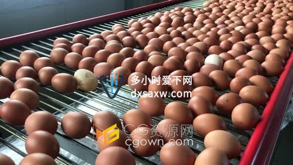 工厂传送带鸡蛋批量生产包装4K实拍视频素材下载