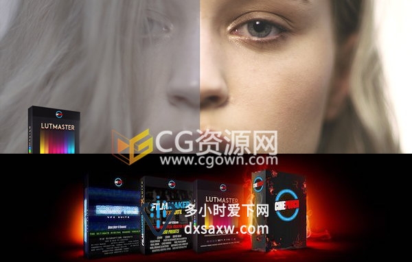 AE/PR/PS/达芬奇/FCPX资源素材包电影影片调色风格画面质感特效