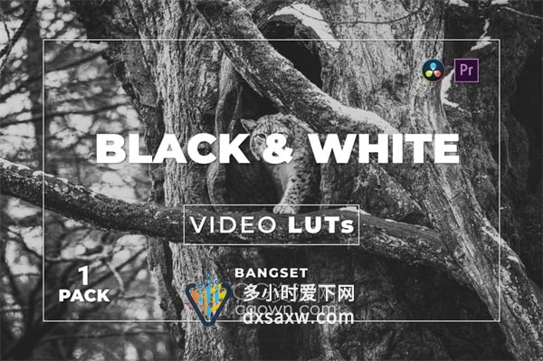 5组黑白经典实用复古LUTs调色CUBE预设文件
