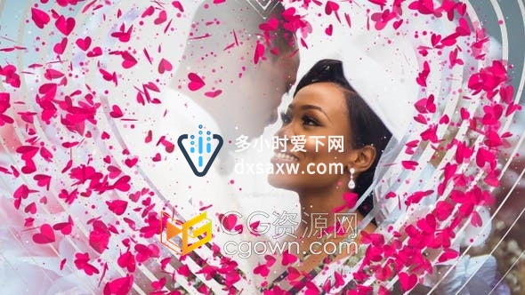 10种不同效果婚礼视频转场过渡心形花瓣动画效果-视频素材下载
