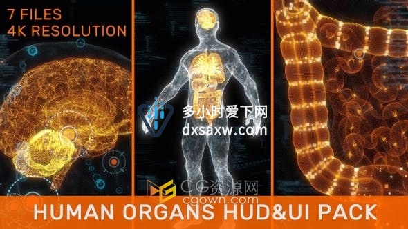 3D人体器官线X射线大脑心肺肝脏肠胃全身HUD UI粒子动画医疗视频素材