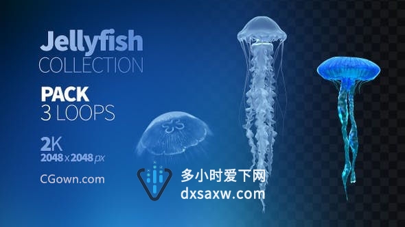 蓝色深海3d水母漂浮游动含Alpha透明通道视频素材下载