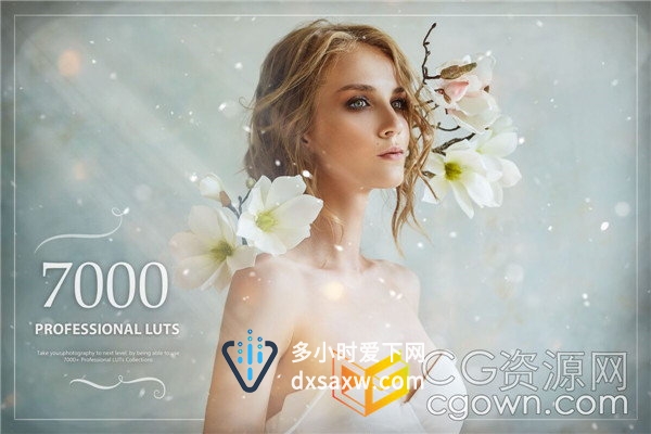 7000+专业LUTs调色CUBE预设清新美丽温馨复古时尚多种图片视频校色风格