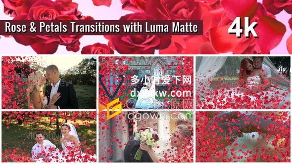 4K视频素材-7种效果玫瑰花瓣动画过渡制作视频转场效果