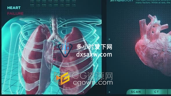 视频素材-HUD信息图心力衰竭功能心脏病疾病医学医疗保健系统屏幕全息概念