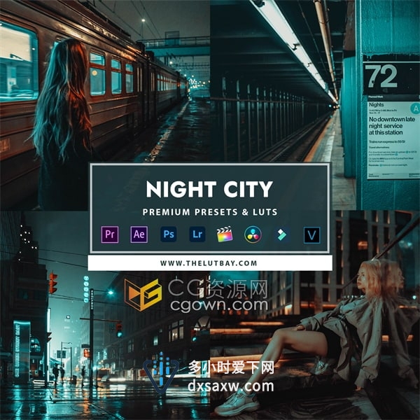Night City城市夜晚Lightroom预设和视频Luts调色下载