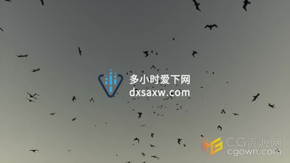 视频素材-日出时分自然场景天空中的鸟群自由聚散