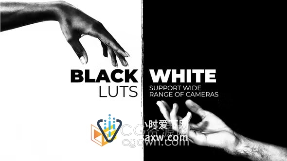 20个经典黑白色调LUT调色预设一键生成复古电影纪录片视频开场白