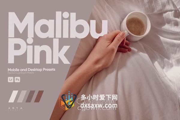 Malibu Pink LR Presets照片粉色风格调色Lightroom预设