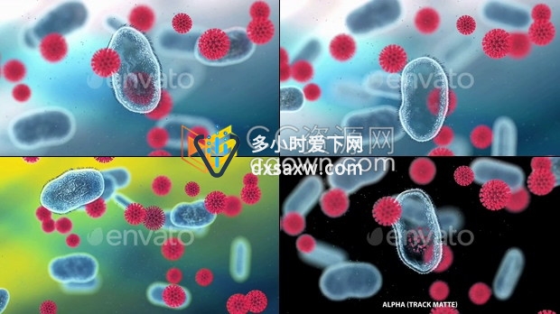 视频素材抗新型冠状病毒抗体疫苗细胞变化动画效果视频