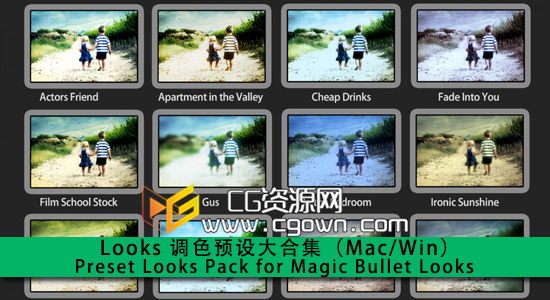 【婚礼调色必用】Preset Looks Pack for Magic Bullet Looks 调色预设大合集