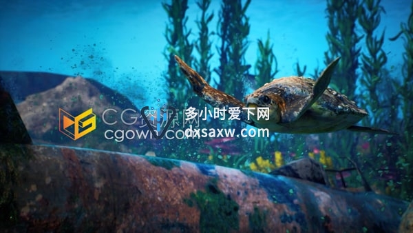 3D渲染水下场景乌龟沿着海底游泳动画视频素材下载