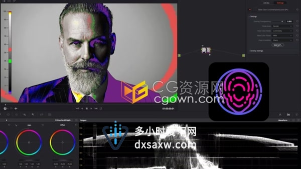False Color v3.80 曝光监控和镜头匹配伪色插件