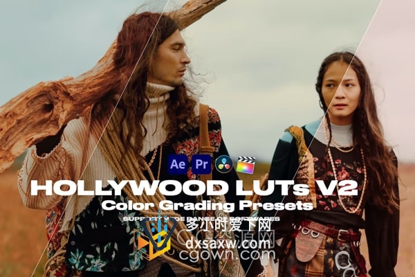Hollywood LUTs V2 好莱坞电影视频调色预设25组
