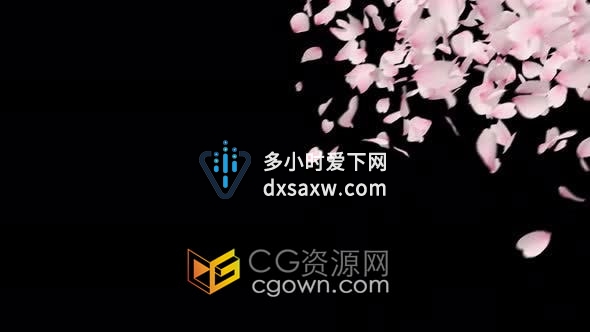 视频素材-樱花花瓣落下转场动画视频素材带透明通道