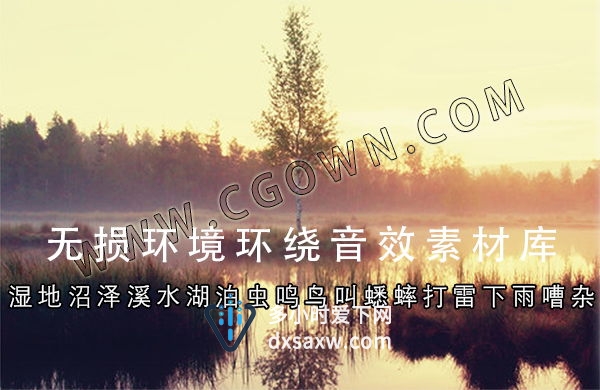 无损环绕音效素材库湿地沼泽水湖虫鸣鸟叫蟋蟀雷雨环境声196组WAV