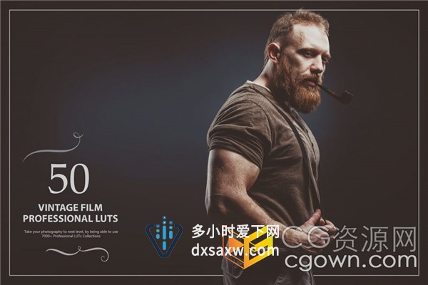 50个老式电影LUT创建照片视频高质量经典复古电影胶片色调