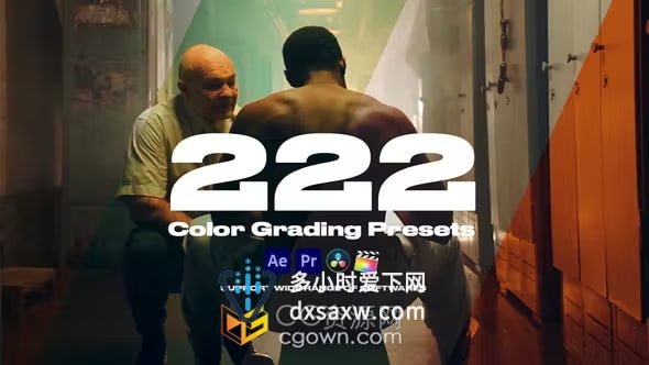 222种专业LUTS调色预设适合各种社交媒体短视频滤镜婚庆照片电影等