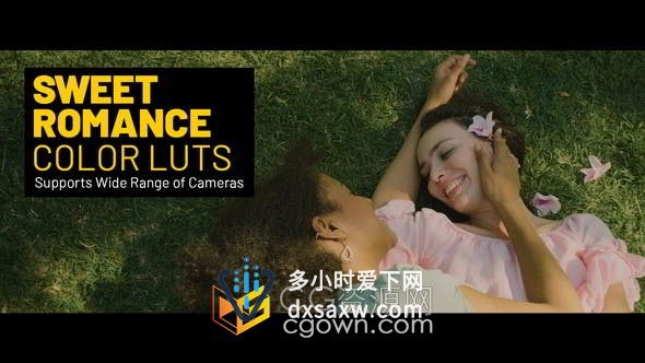 浪漫温馨时尚幸福甜蜜婚礼LUTs调色20种预设文件