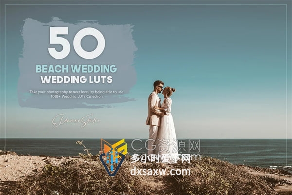 50个海滩婚礼LUT调色预设包