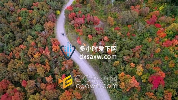 无人机鸟瞰图航拍吉普车蜿蜒穿过秋天森林中间道路视频素材