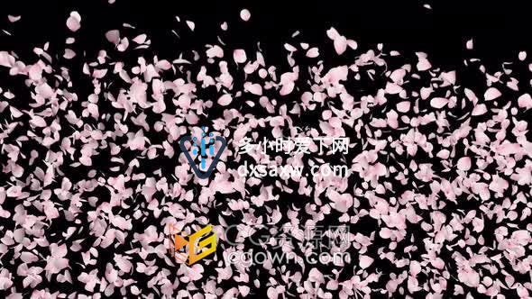 视频素材-樱花花瓣庆祝爆炸慢动作镜头带透明Alpha通道