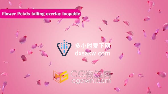 视频素材-带Alpha透明通道玫瑰花瓣飘落合成视频素材