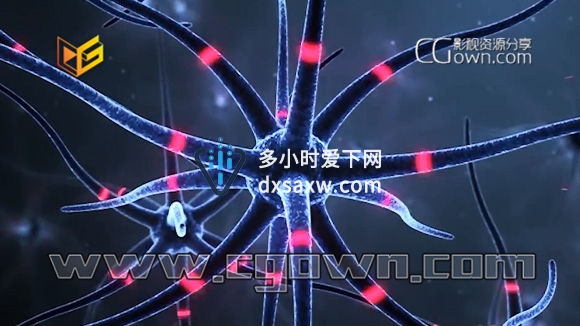 Cinema 4D与After Effects创造脑细胞神经系统传送动画效果合成教程