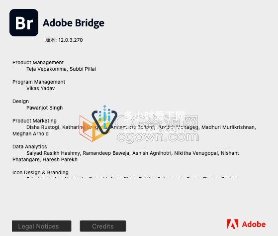 Adobe Bridge 2022 v12.0.3 苹果Mac版本下载